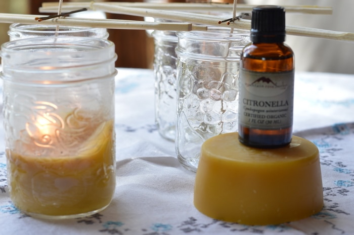 Citronella is an effective deterrent to biting insects like mosquitoes and sand flies. Citronella essential oil when used as a spray-on repellent was 98% effective immediately after application. When applied to the skin at 3% concentration citronella was nontoxic and effective at ranges up to 98%. The active compounds in citronella oil for repelling mosquitoes are camphor, eucalyptol, eugenol, linalool, citronellal and citral.