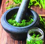fresh herbs in a mortar and glass jar