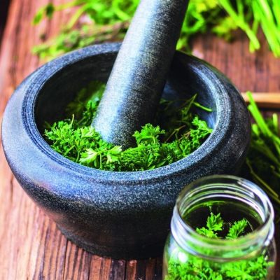 2 Ways to Ferment Fresh Herbs