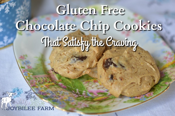Gluten Free Chocolate Chip Cookies that will satisfy the craving