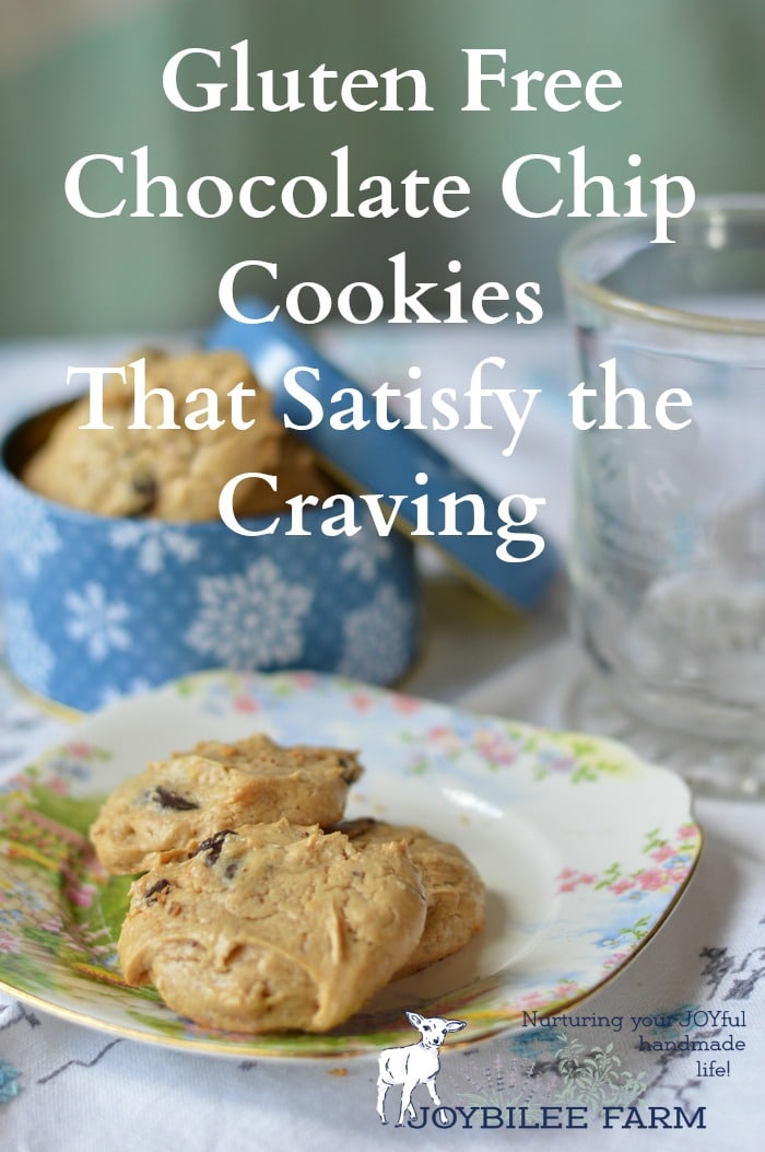 Gluten Free Chocolate Chip Cookies that will satisfy the craving
