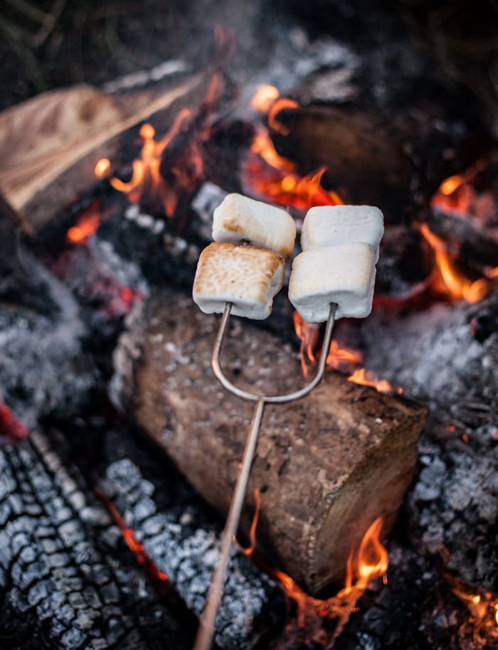 Make Herbs Fun Again at Herb Summer Camp -Reconnect with your passion