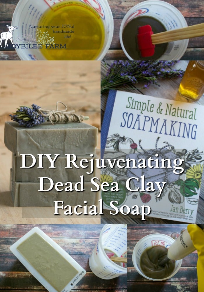 Dead Sea clay facial soap is easy to make with these natural soapmaking techniques found in Jan Berry's newest book, Simple and Natural Soapmaking
