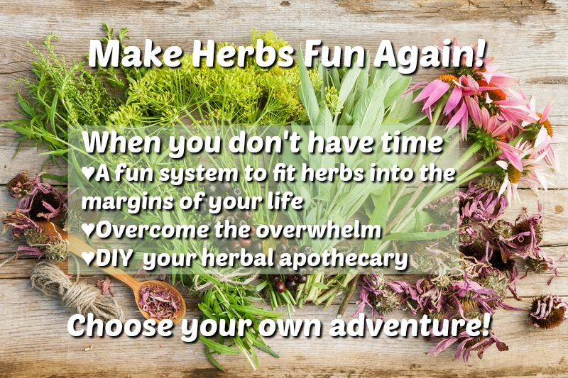When the herbs are ripening and you don't have time to harvest them and the summer is getting away from you, try this!