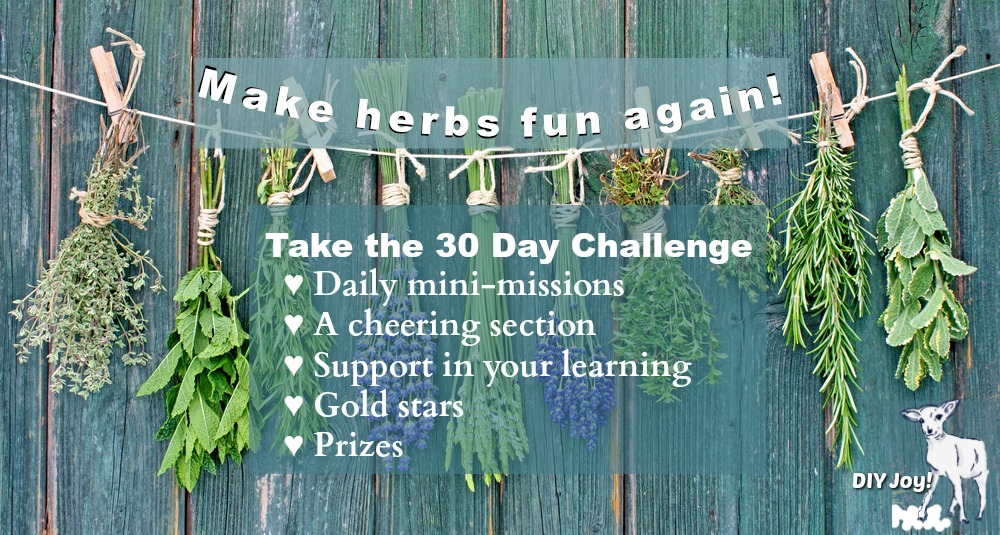 Summer Camp in just 15 minutes a day.