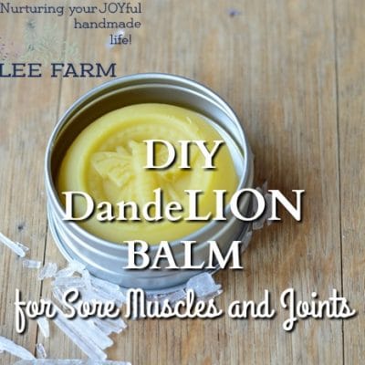 DIY DandeLion Balm
