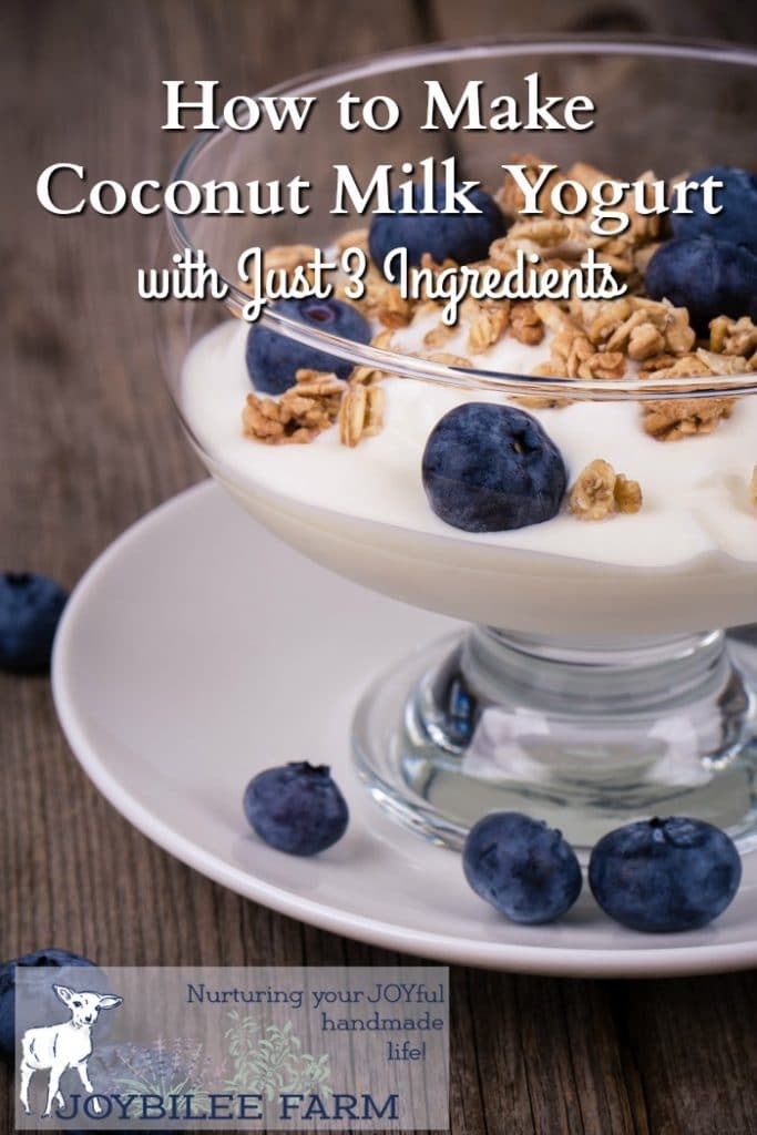 Coconut milk yogurt is a viable alternative yogurt made suitable for dairy-free, gluten-free, paleo, and GAPS special diets. It's easy to make at home with just 3 ingredients.
