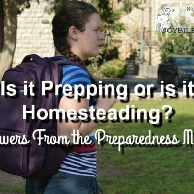 Is it Preparedness or is it Homesteading?