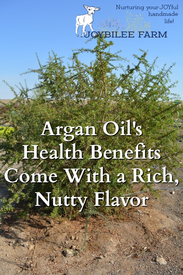 Argan tree