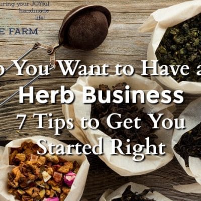 So You Want to Have an Herb Business — 7 Tips to Get You Started Right