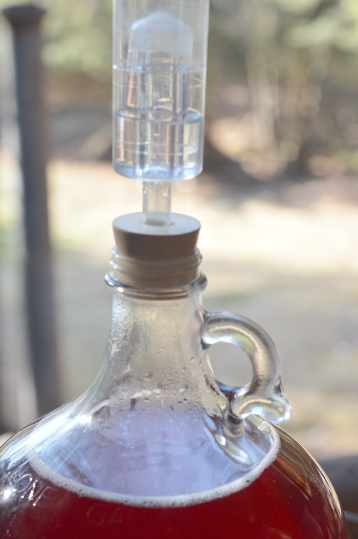Summer Honey Mead is an easy to make herbal beverage that preserves the summer goodness for winter ills. Old timers preserved herbs in many ways to get through the long winter months of ice and snow. Honey mead is a refreshing vehicle for herbs.