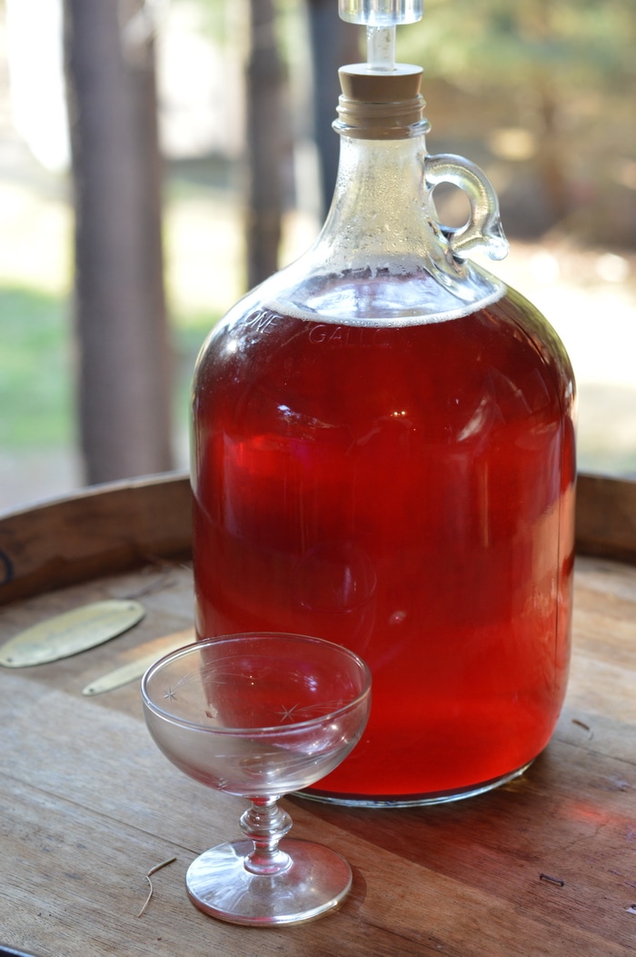 Summer Honey Mead is an easy to make herbal beverage that preserves the summer goodness for winter ills. Old timers preserved herbs in many ways to get through the long winter months of ice and snow. Honey mead is a refreshing vehicle for herbs.