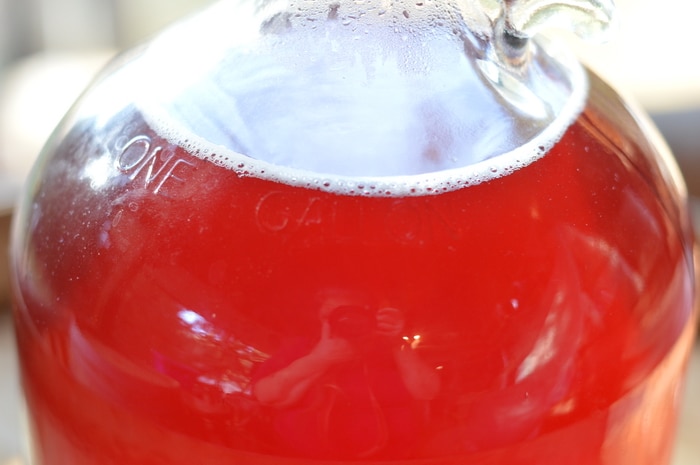 Summer Honey Mead is an easy to make herbal beverage that preserves the summer goodness for winter ills. Old timers preserved herbs in many ways to get through the long winter months of ice and snow. Honey mead is a refreshing vehicle for herbs.