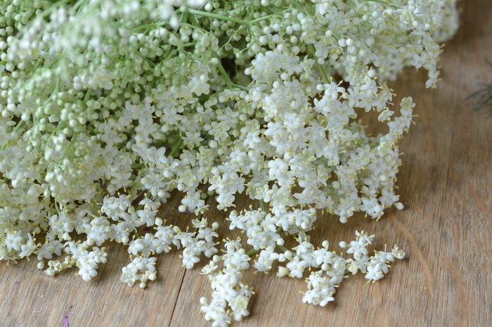 Summer Honey Mead is an easy to make herbal beverage that preserves the summer goodness for winter ills. Old timers preserved herbs in many ways to get through the long winter months of ice and snow. Honey mead is a refreshing vehicle for herbs.