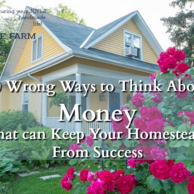 10 Ways the Poverty Mindset Might be Keeping You Homestead-Poor