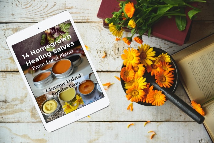 14 Homegrown Healing Salves from Local Plants ebook