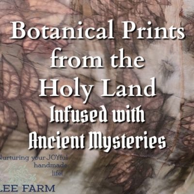 Botanical Prints from the Holy Land, Infused with Ancient Mysteries