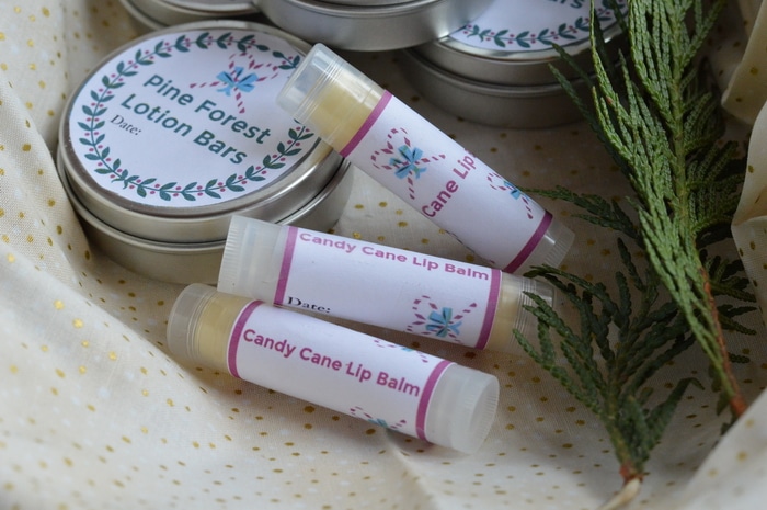 candy cane lipbalm, with cedar branches and a lotion bar in the background.