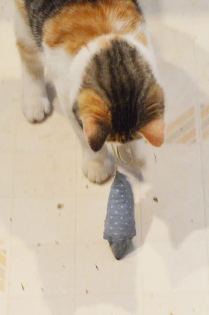 DIY Cat Toys, like this catnip toy mouse for kittens and indoor cats, are easy and quick to make at home with fabric scraps, quilting fabric precuts, and dried catnip from your garden. Cats love these cat toys, too.