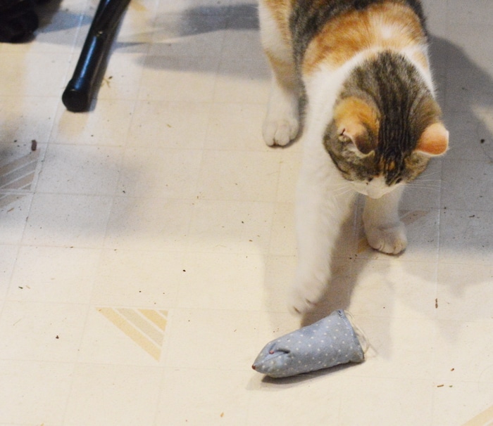 DIY Cat Toys, like this catnip toy mouse for kittens and indoor cats, are easy and quick to make at home with fabric scraps, quilting fabric precuts, and dried catnip from your garden. Cats love these cat toys, too.