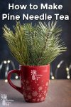 Pine needle branches in a red mug