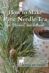 Pine needle tea has significant amounts of vitamin C, vitamin A, and flavoniods that make it a citrus-y flavored tonic drink to forage in winter.