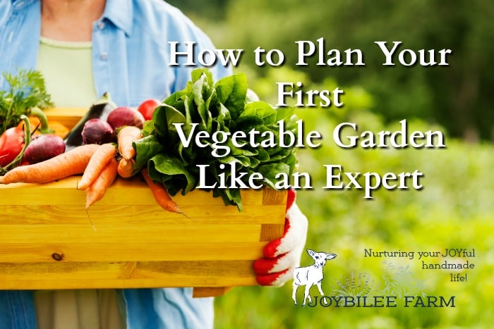 How to plan a garden that can feed your family for months, even if you are a beginner.