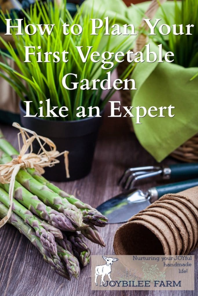 How to plan a garden that can feed your family for months, even if you are a beginner.