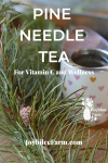 pine branch and tea cup