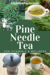 Pine and tea