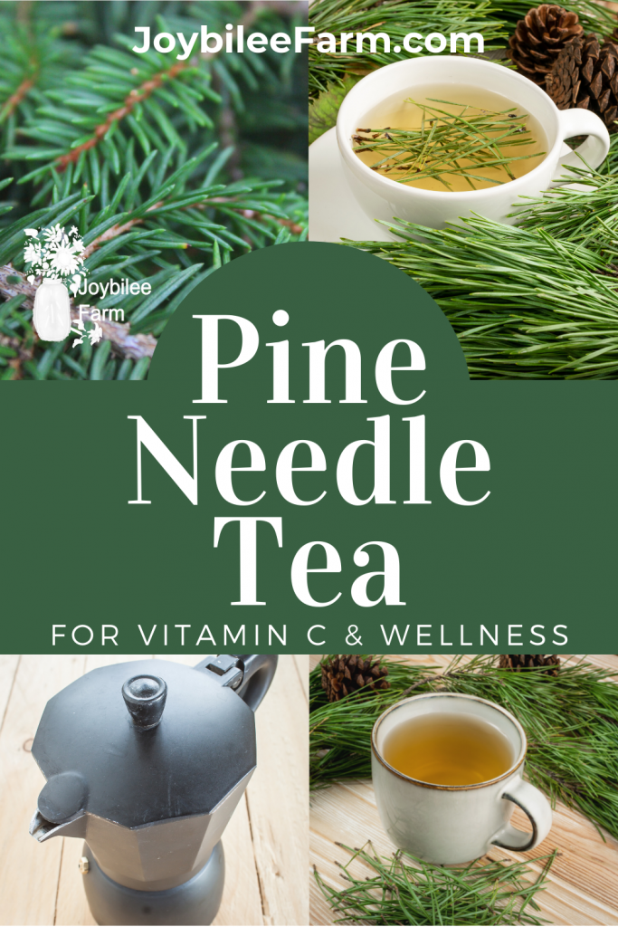 Pine and tea