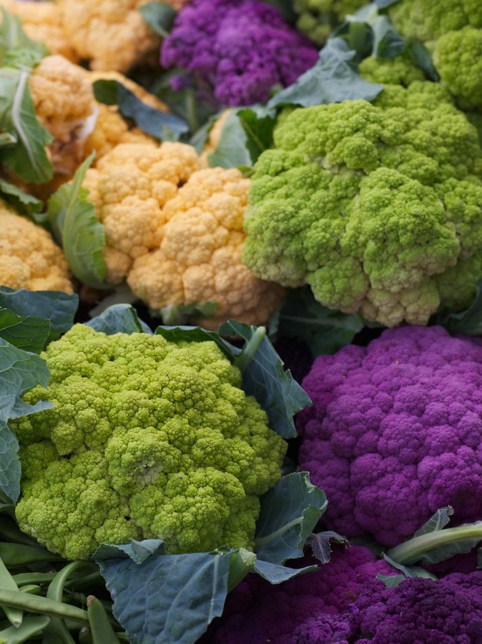 Purple vegetables are rich in anthocyanins, an antioxidant that gives the red, blue, and purple pigment to plants. Anthocyanins are known to fight free radical damage at the cellular level, offering antiviral, anti-inflammatory, and anticancer benefits. Getting more purple vegetables in your garden and into your meals is an easy way to increase the nutrition and health of your daily meals.