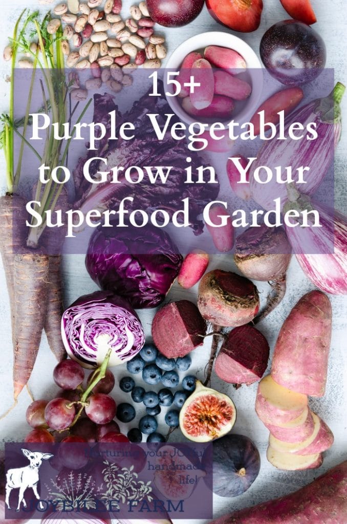 Purple vegetables are rich in anthocyanins, an antioxidant that gives the red, blue, and purple pigment to plants. Anthocyanins are known to fight free radical damage at the cellular level, offering antiviral, anti-inflammatory, and anticancer benefits. Getting more purple vegetables in your garden and into your meals is an easy way to increase the nutrition and health of your daily meals.
