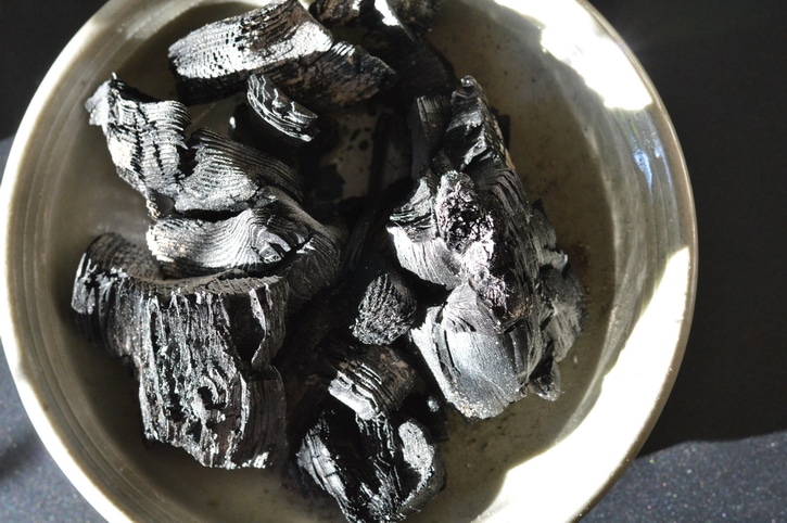 biochar in a dish