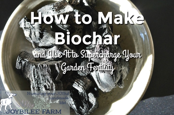 biochar in a dish
