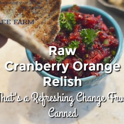 Raw Cranberry Orange Relish That’s a Refreshing Change From Canned