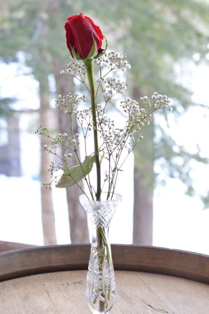 Single red rose in a crystal bud vase