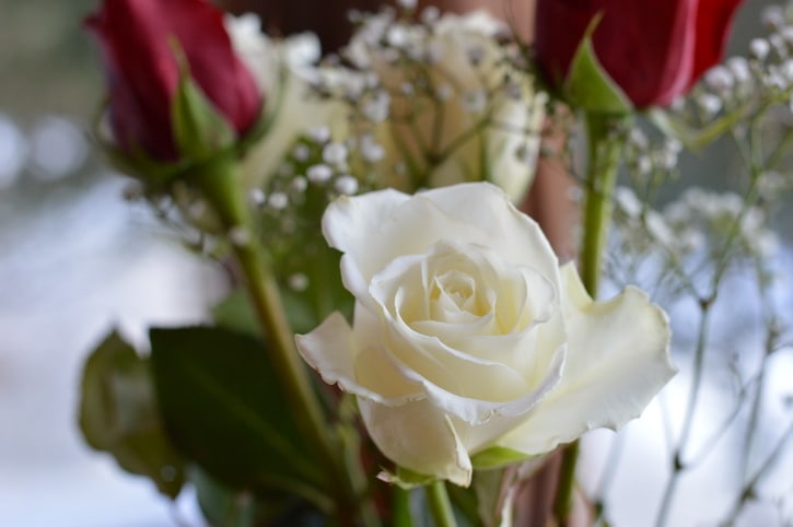 Red and white roses in a bouquet