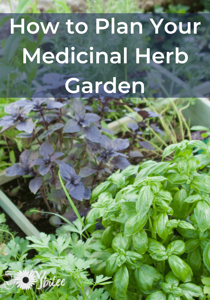 How to Plan Your Medicinal Herb Garden
