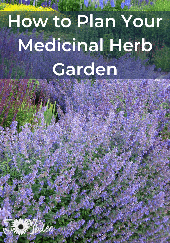 How to Plan Your Medicinal Herb Garden