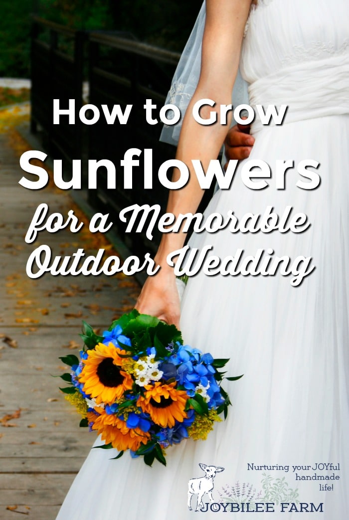 Sunflower wedding bouquet