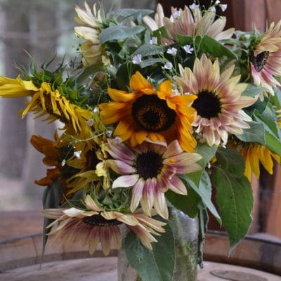 Cultivate a Cut Flower Garden for Long Lasting Blooms Even If You Live in Zone 3