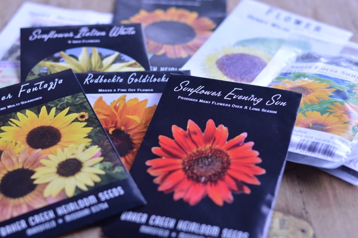 Sunflower seed packages