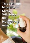 A hand spraying mosquito spray on someone's neck