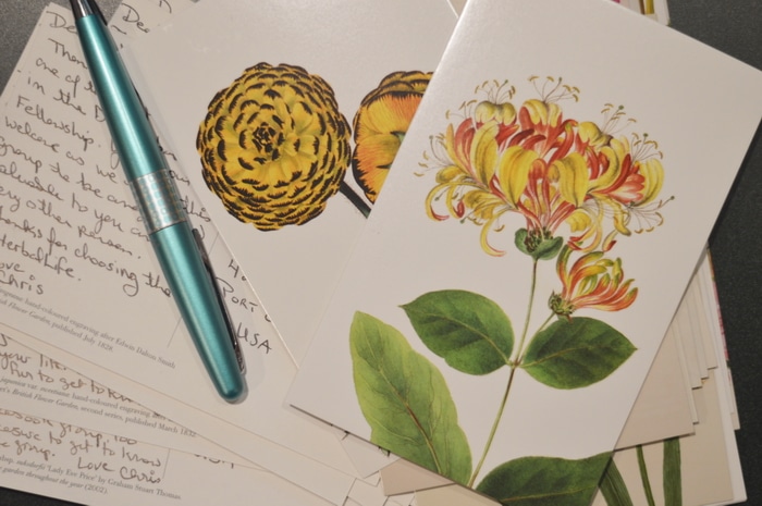 handwritten notes on postcards