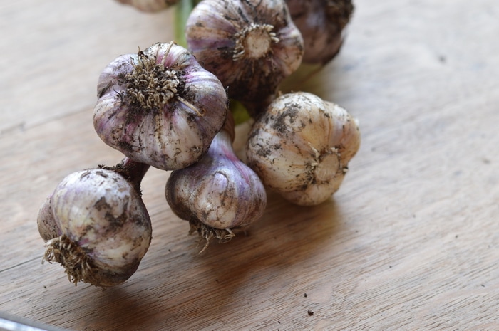 Preserving garlic by braiding