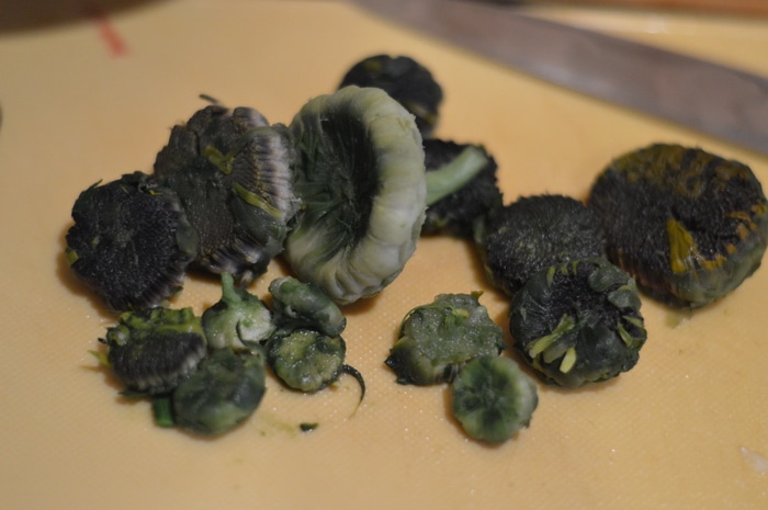 Prepared sunflower buds ready to use in this recipe.