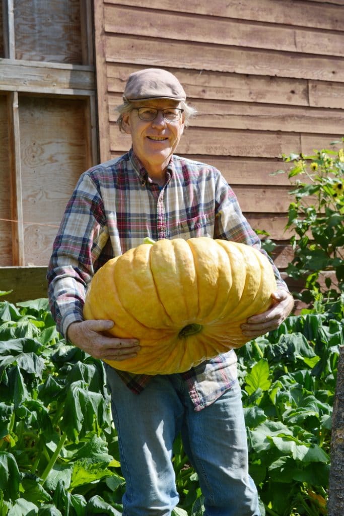 51 pound pumpkin