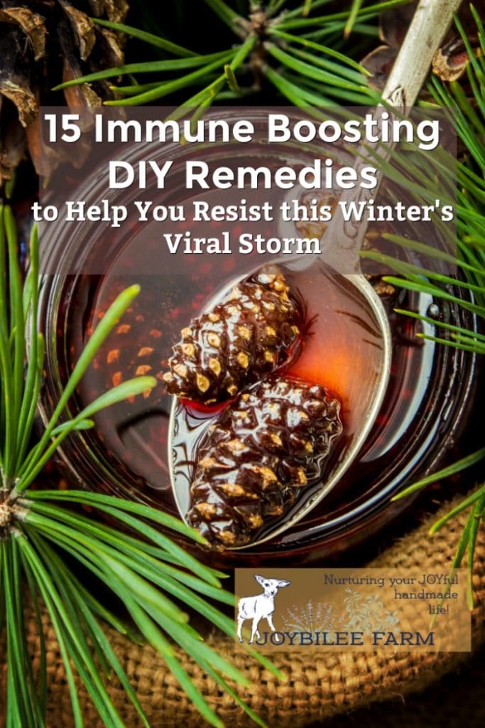 Immune Boosting Remedies - pine tea