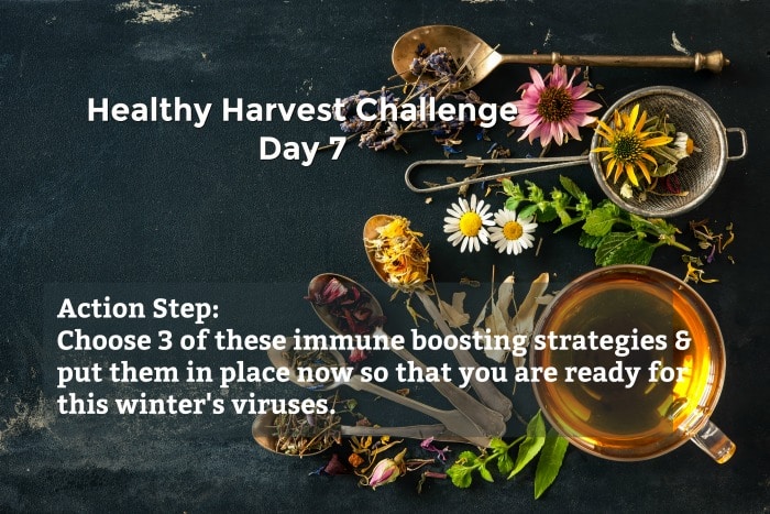 Use these 15 DIY immune boosting remedies to prepare your body for this winter's viral storm surge.  Your health is in your hands.